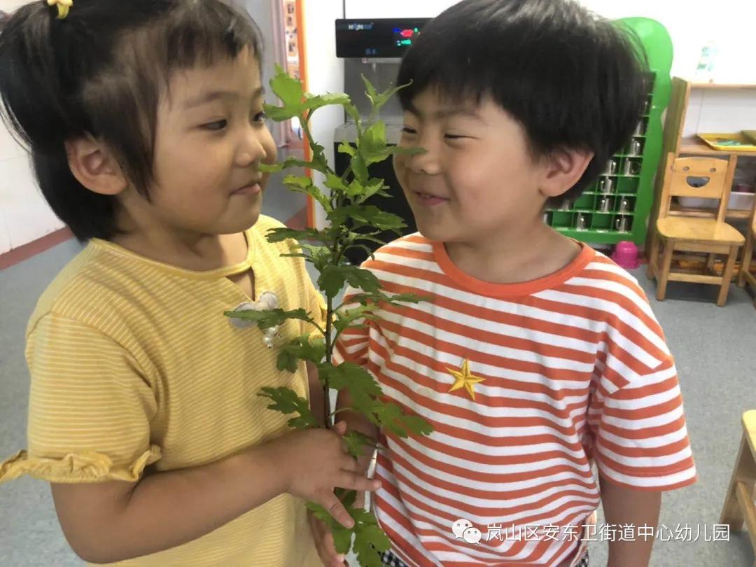 「未成年人思想道德建设」“粽香满园、浓情端午”——日照市岚山区安东卫街道中心幼儿园端午节活动