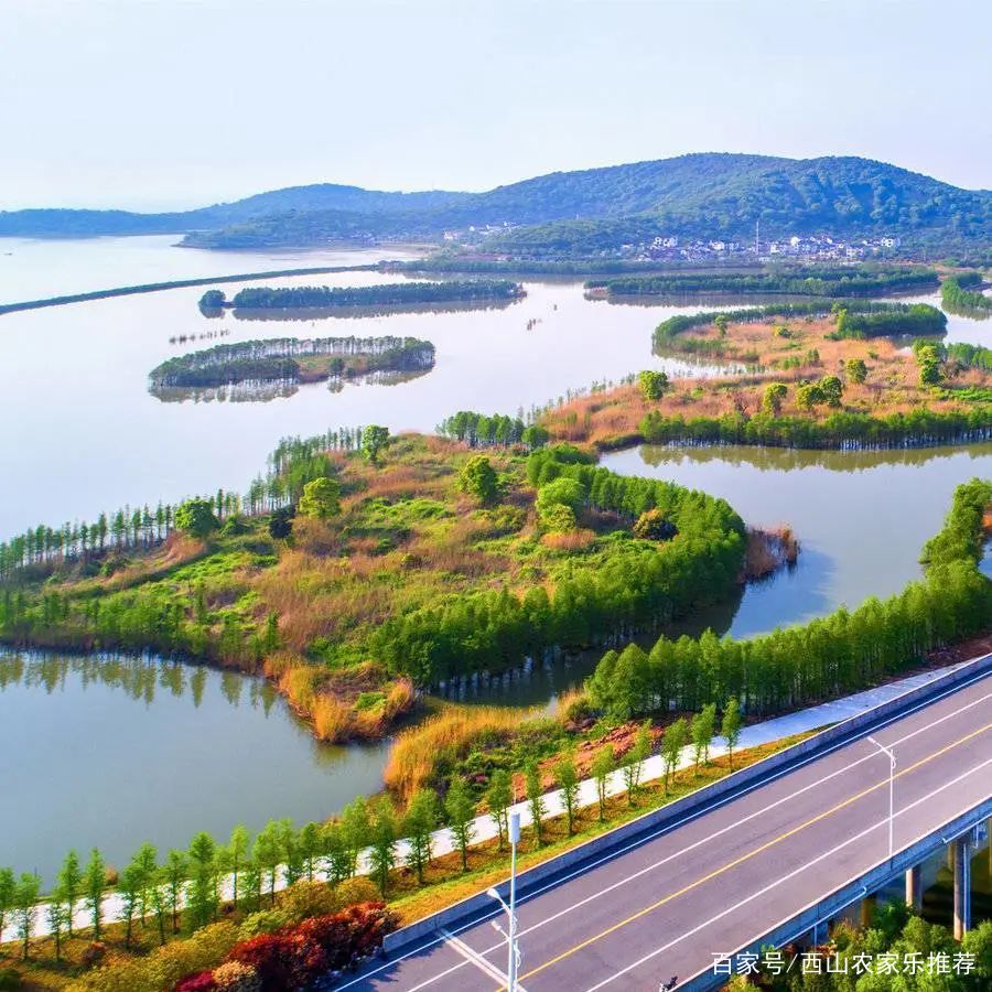 苏州西山网红打卡地樱花,苏州西山风景区有什么好玩的地方