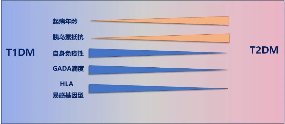 细数漫漫人生路,lada进化史