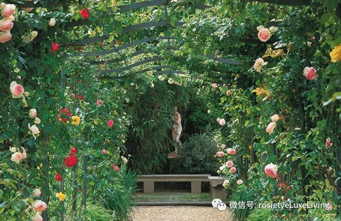 英国央行紧急降息通知,英国紧急降息最新消息