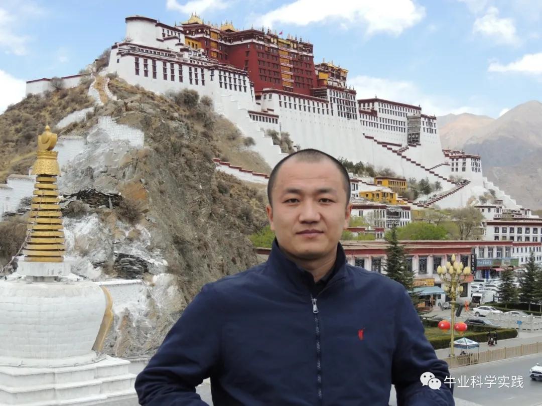 2023肉牛行情分析,2023-2024中国肉牛行情还会下跌吗