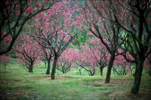 诗词大会第四季董卿唯美开场词,诗词大会第一季董卿唯美开场白