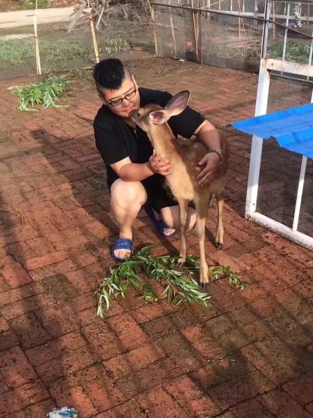 她把没人要的鹿头骨制成神秘工艺品，放到淘宝上，年销超过百万