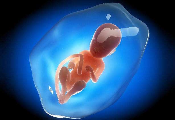 女子意外怀孕结果生了怪胎,女人怀孕生宝宝被吓坏