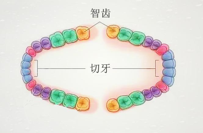 岳绮罗为什么对张显宗说我牙疼,女生对我说张显宗我牙疼什么意思