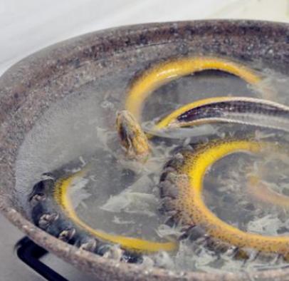 黄鳝身上的粘液要不要清洗干净,黄鳝在烹调中正确去除粘液的方法