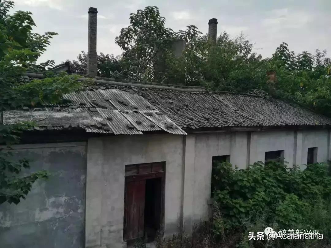 兴平40年前酒厂生产的酒，曾比西凤酒还受欢迎，你知道吗？