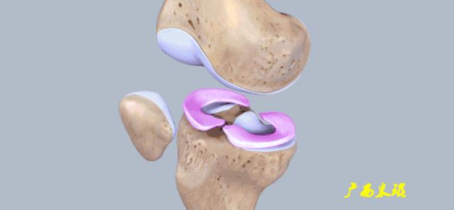 听骨科医生讲的话,听完骨科专家的一段话