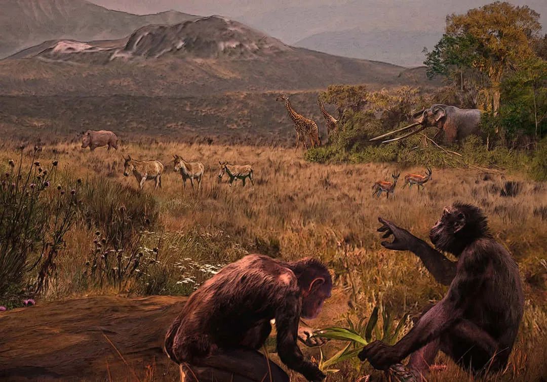 人类史要重写？我国发现了新人种“龙人”，为什么后来消失了？