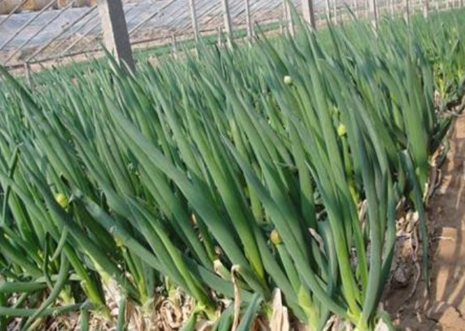 生鲜库存积压如何快速变现,库存堆积如山怎么找销路