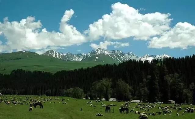 流浪地球旅游排名,徒步旅行流浪地球