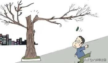 想在异国他乡留学,想国外打工