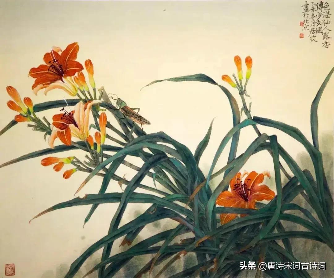 今朝风月好堂前萱草花什么意思,今朝风日好堂前萱草花