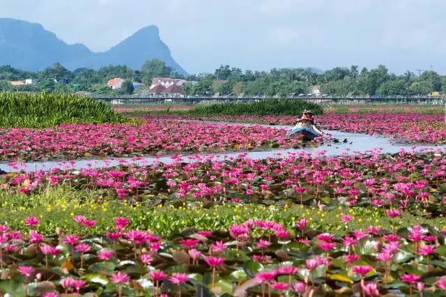 津南区打架,津南区打架视频