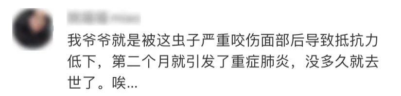 熬夜玩手机女性危害,女生熬夜玩手机导致失明