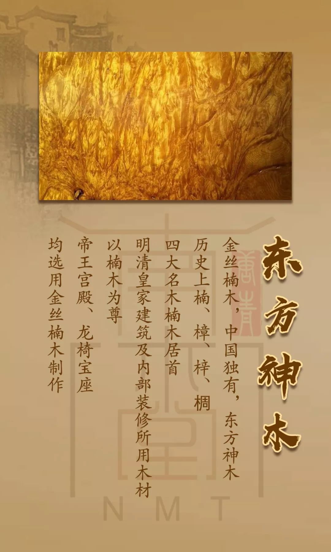 顶级的金丝楠乌木,金丝楠木和金丝楠乌木