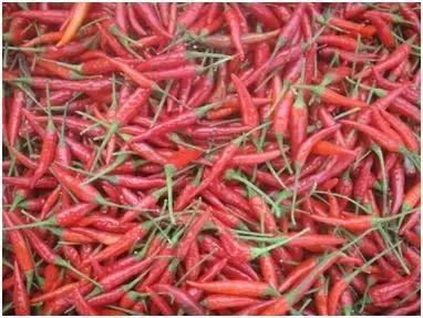 所谓的发物有哪些,科普发物到底是个什么食物