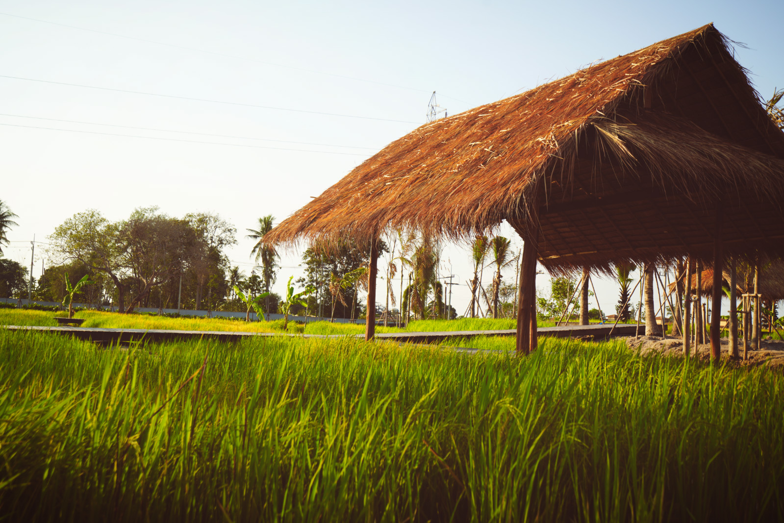 泰国暹罗主题公园,曼谷暹罗古城72府游览