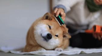 过敏性鼻炎打喷嚏流鼻涕推拿手法,不打喷嚏流鼻涕是过敏性鼻炎吗