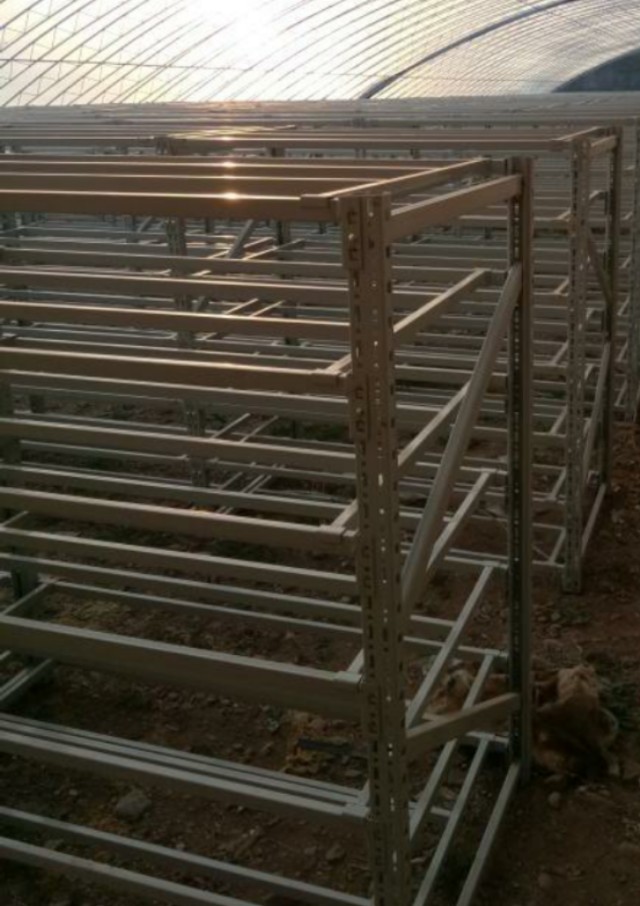 关于香菇出菇技术的视频,香菇不出菇如何解决