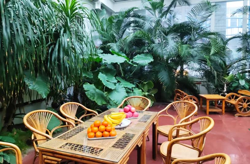 河北省工程大学附属医院义诊,河北大学附属医院体检套餐优惠