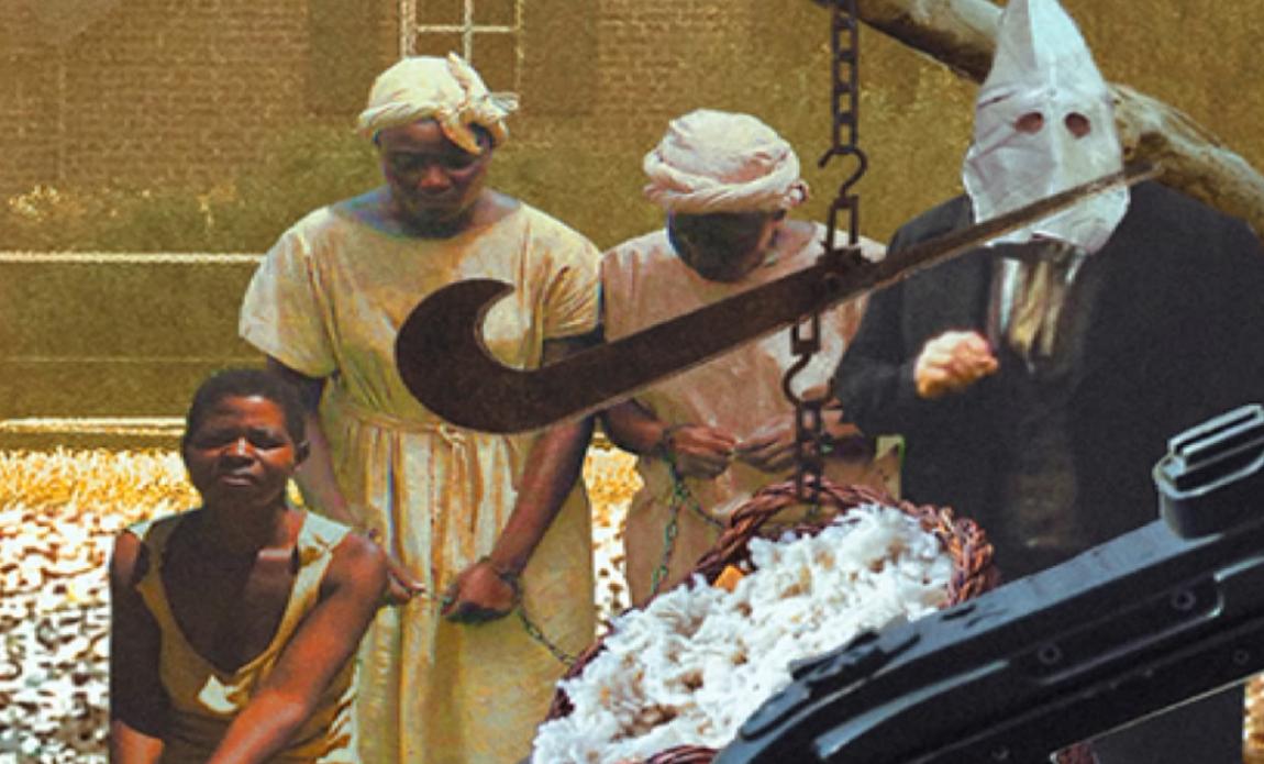 乌合麒麟血棉解析,乌合麒麟怒揭血棉真相