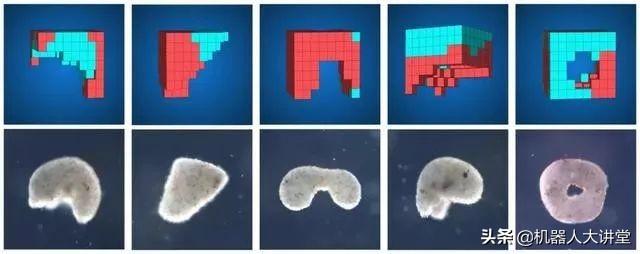 全球首个活体机器人怎么编程,最新人工智能机器人问世