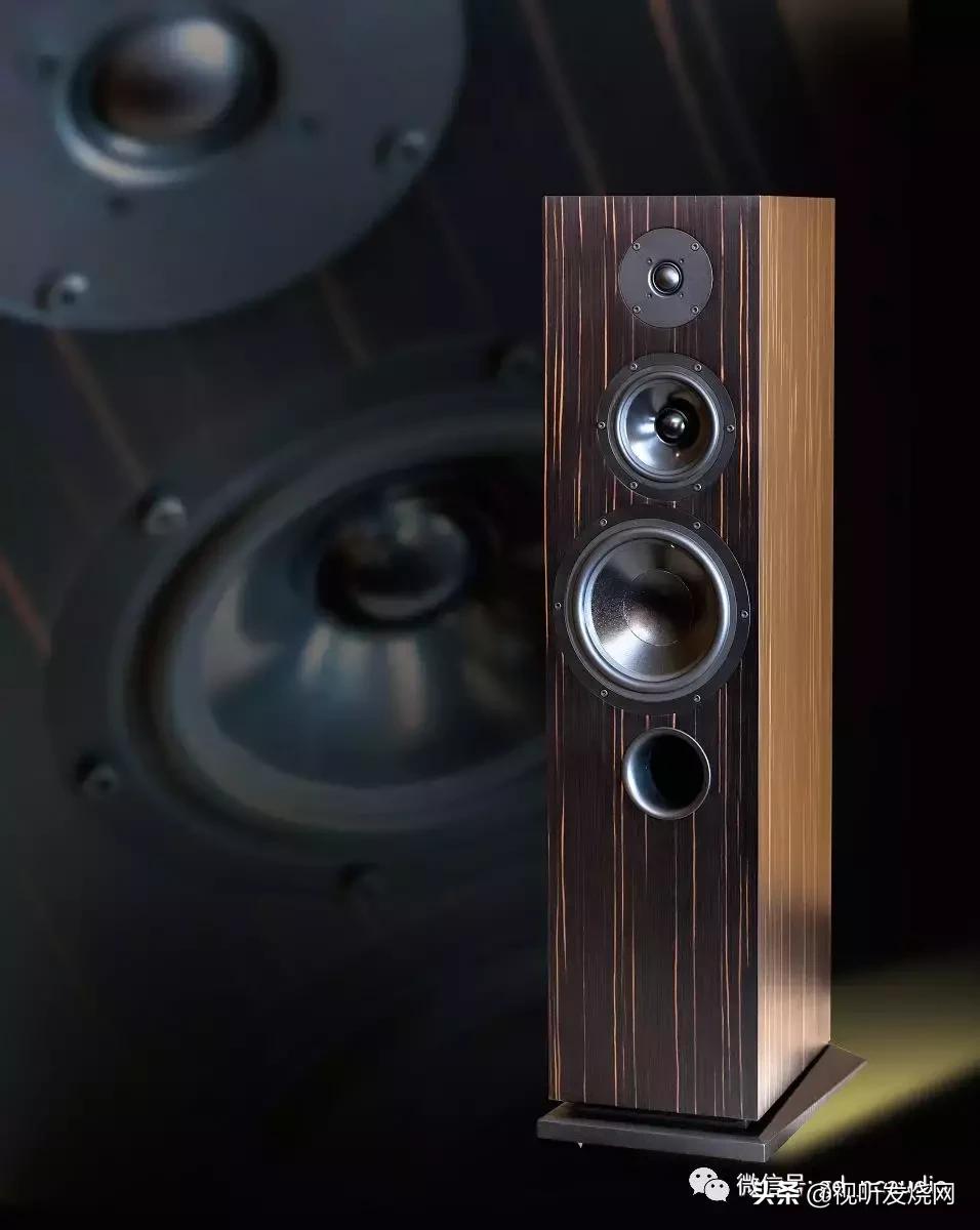 入门级也是高配置:AUDES(瑰丽)MAESTRO146落地式扬声器