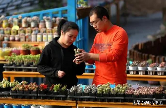 当下最适合农村创业的生意有哪些,现在农村创业干什么行业比较挣钱