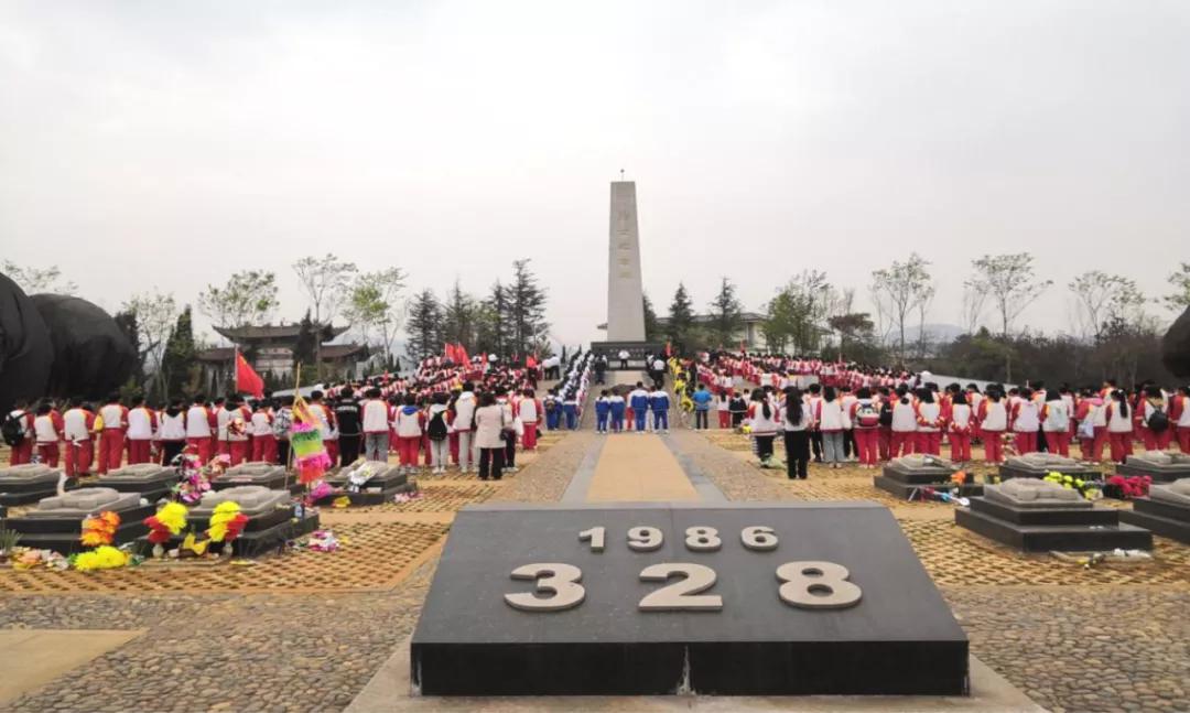 红领巾心向党少先队教育专栏,共青团中央红领巾心向党活动