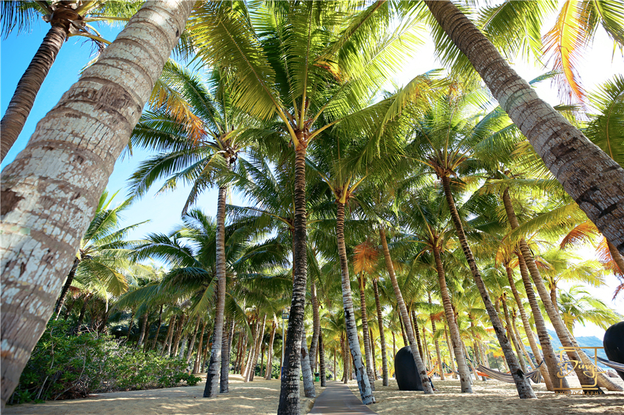 陵水猴岛与呆呆岛之旅,三亚猴岛呆呆岛有必要去吗