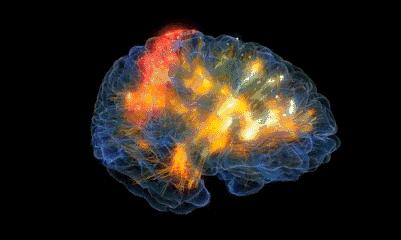 孕期哺乳期补充dha有多重要,孕妇哺乳期间有必要吃dha吗