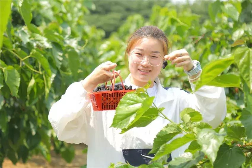 春城*月天五**,醉美桑果园2019桑果园和您有个约会