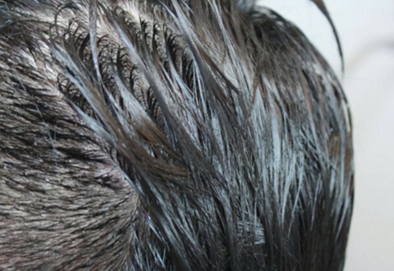 为什么年轻人不爱加班,为什么年轻人戒不掉熬夜即兴评述