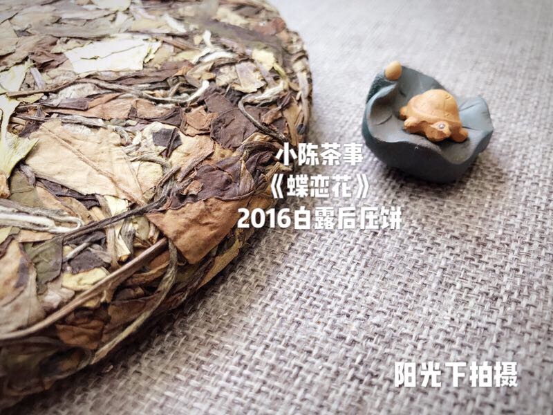 新手入门老白茶如何选,老白茶干货知识