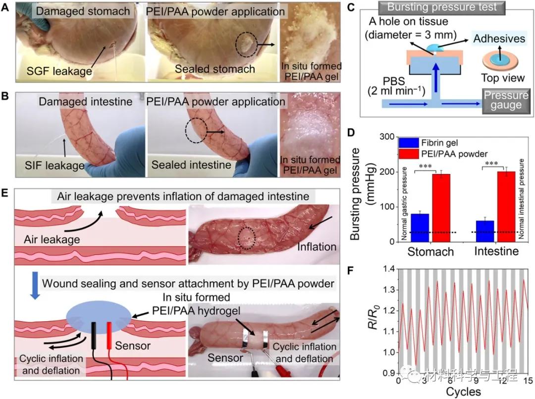 Science子刊：涂点粉，加点水，2秒就让伤口愈合、止血？