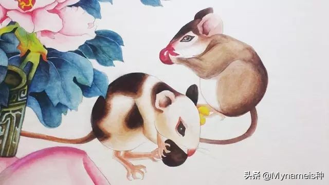 属相天命,十二属相的解析与分析