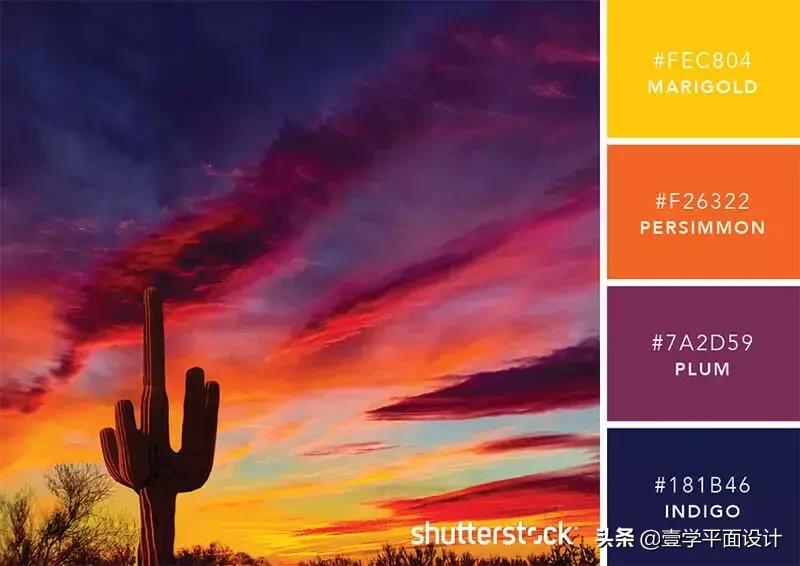 设计师钟爱的9组高级感配色方案,家装设计师配色方案色卡