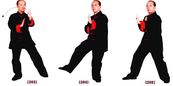 咏春拳入门十二散手,咏春拳标指教学视频