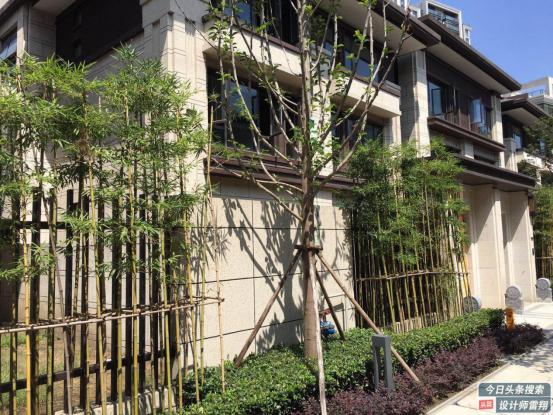 庭院设计庭院地面不会铺不用愁,有风水布局的庭院设计图片