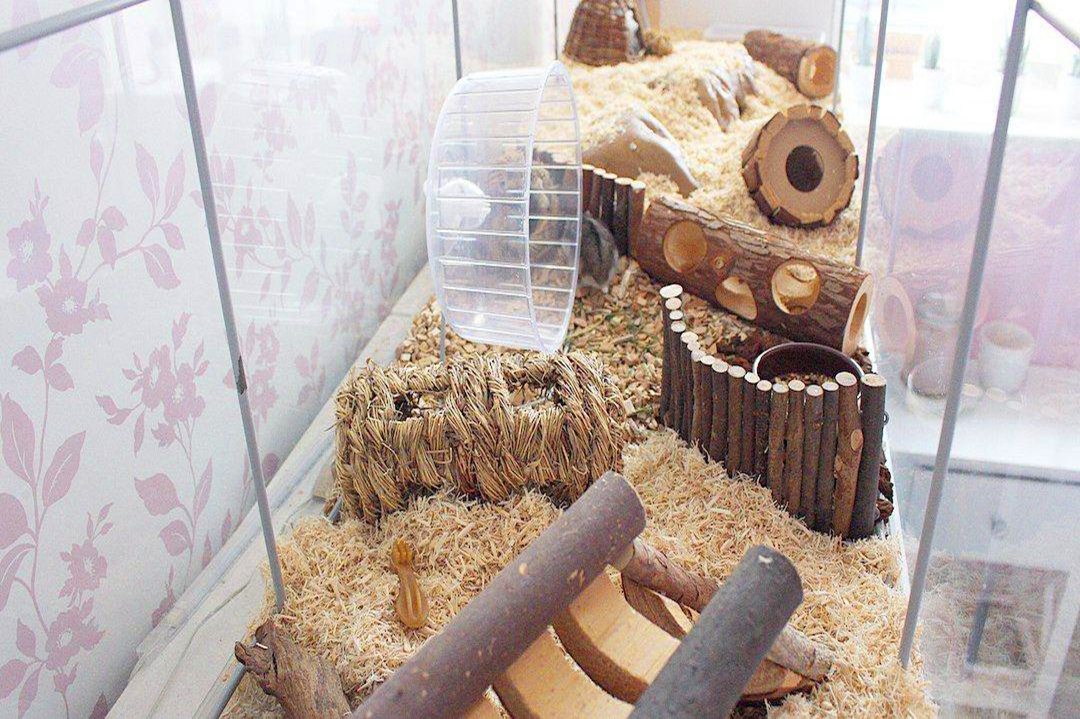 家用室内仓鼠笼怎么选好,什么样的仓鼠笼可以避免老鼠袭击