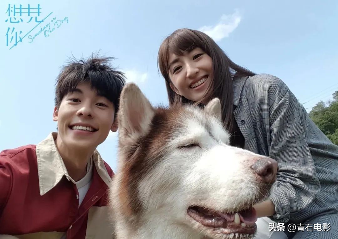 台版流星花园经典,流星花园电视剧全网看