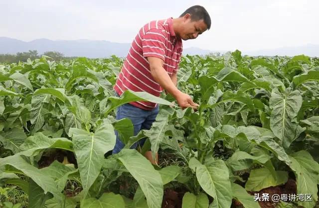 危楼变图书馆，打造足球特色小镇！韶关南雄这条村用教育扶贫