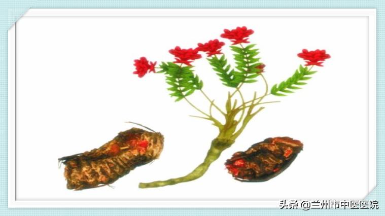 兰州糖尿病哪个专家治疗好,二型糖尿病兰州治疗