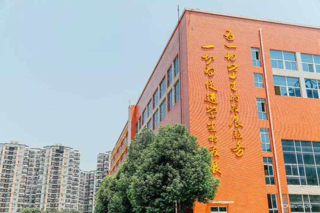 是我小瞧你了经典语录,是我小瞧你了怎么回复