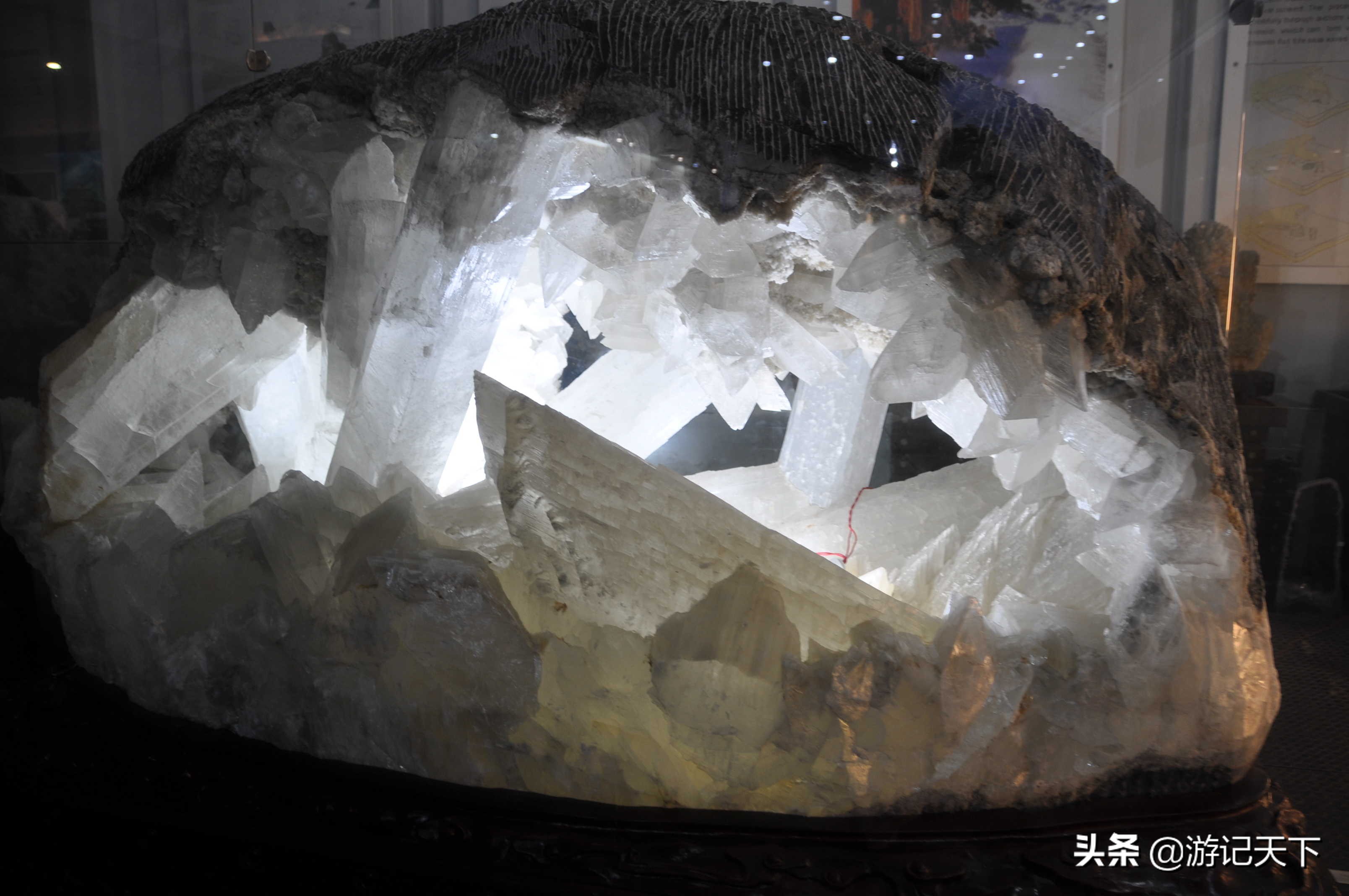 阿尼亚参观博物馆,上海地质科普馆游玩