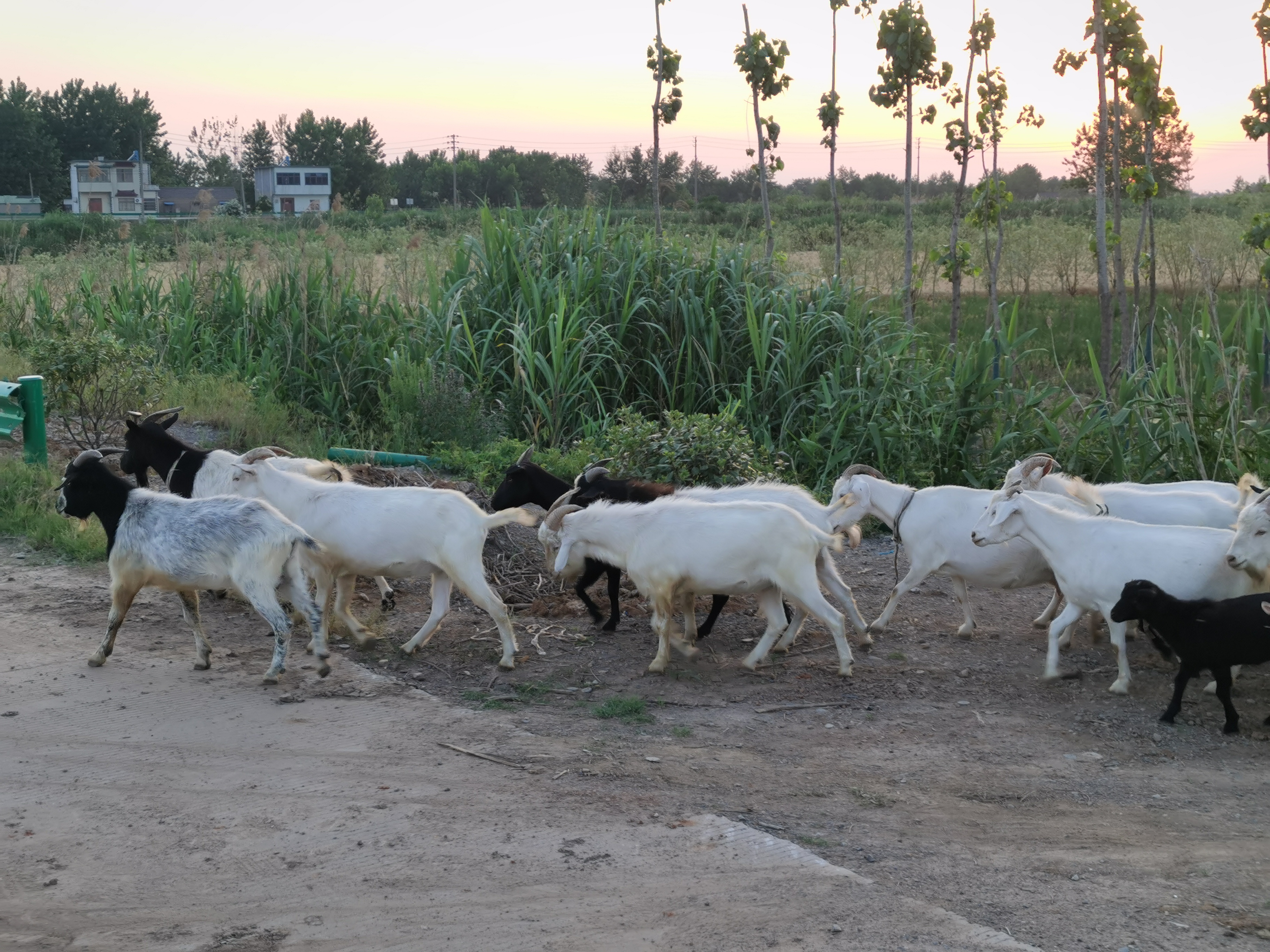 马鞍山风景名胜区,生态画卷美不胜收
