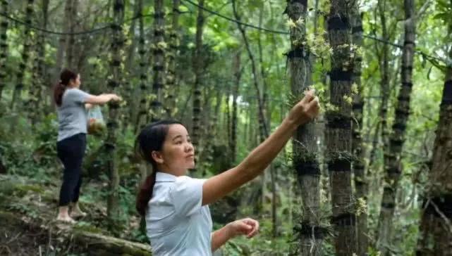 黔东南春节游玩推荐,隐藏在黔东南的世外桃源