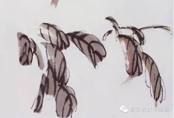 写意柿子叶的画法步骤图,徐湛写意柿子的画法
