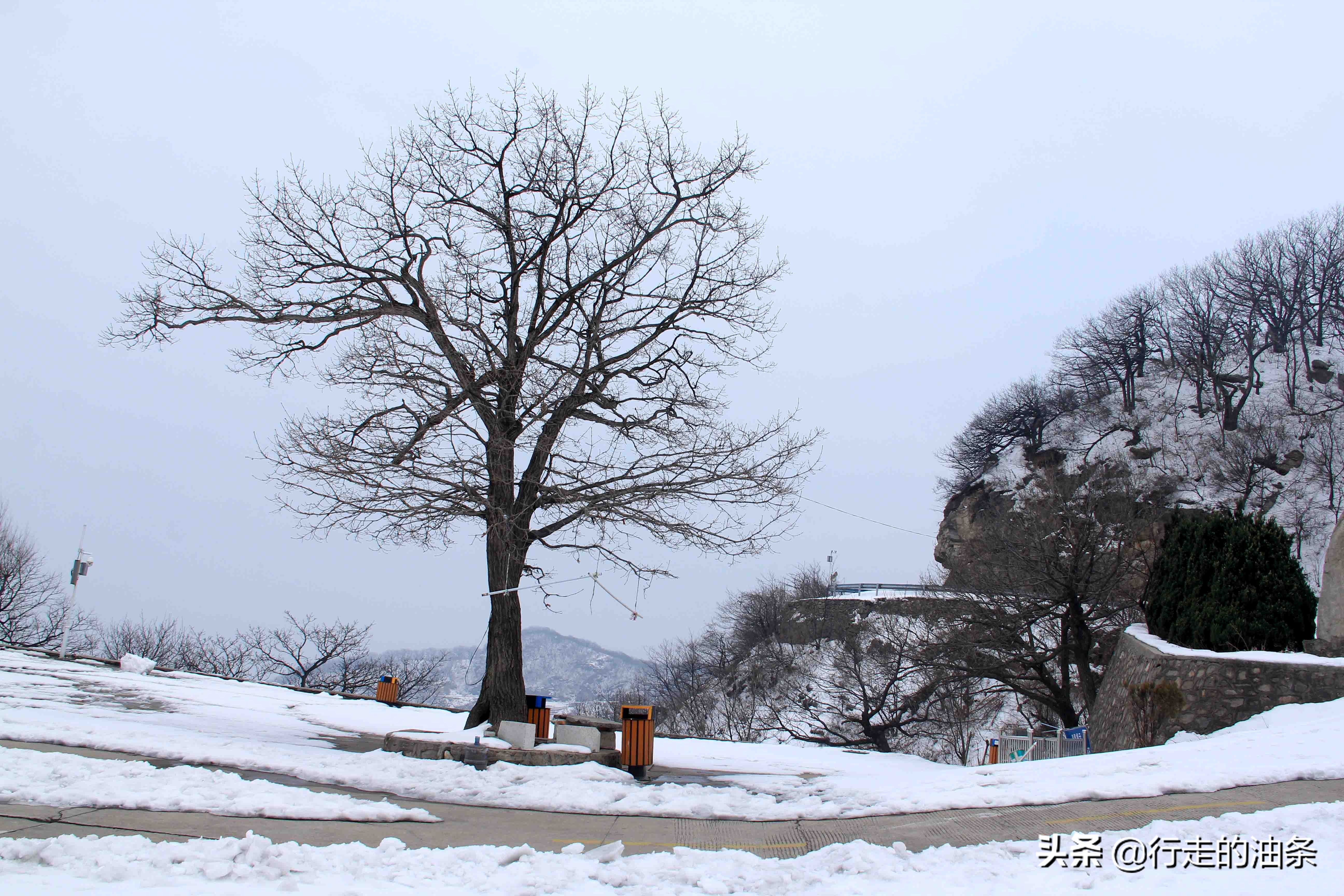雪山迷路,雪山里迷路